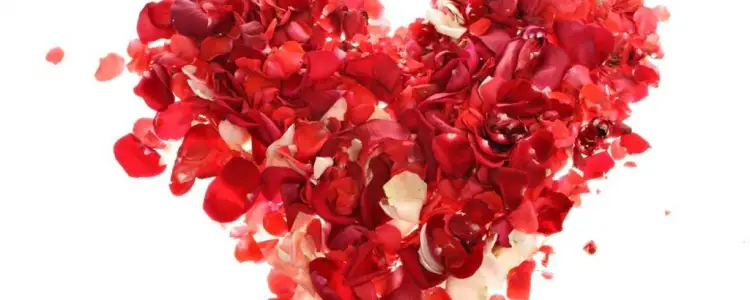 Animation maquillage Saint-Valentin
